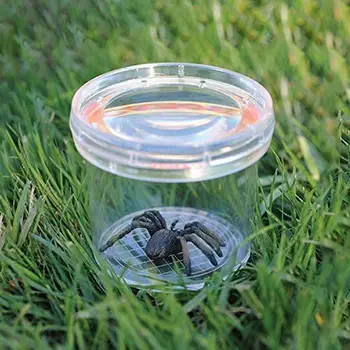 Пластмасова кутия за наблюдение на насекоми с лупа, контейнер за защита от бягство, Къщичка за живеене богомолка, мравки-паяк, калъф за хранене 1