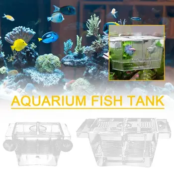 Пластмасов изолационен бокс за отглеждане на риби Удобен Изолационен бокс за аквариум от висок Клас Инкубационният бокс за аквариум |Аквариумистики