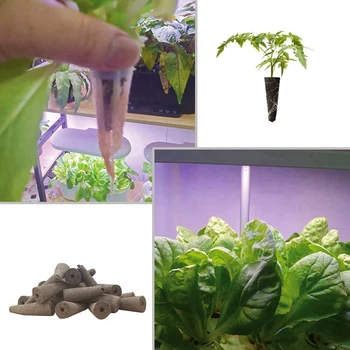 Гъба за отглеждане на растения За използване С Aerogarden, Екологично Чисти Мъничета За отглеждане на растения, Гъби За гидропонного отглеждане на Растения, опаковки по 200 броя 4
